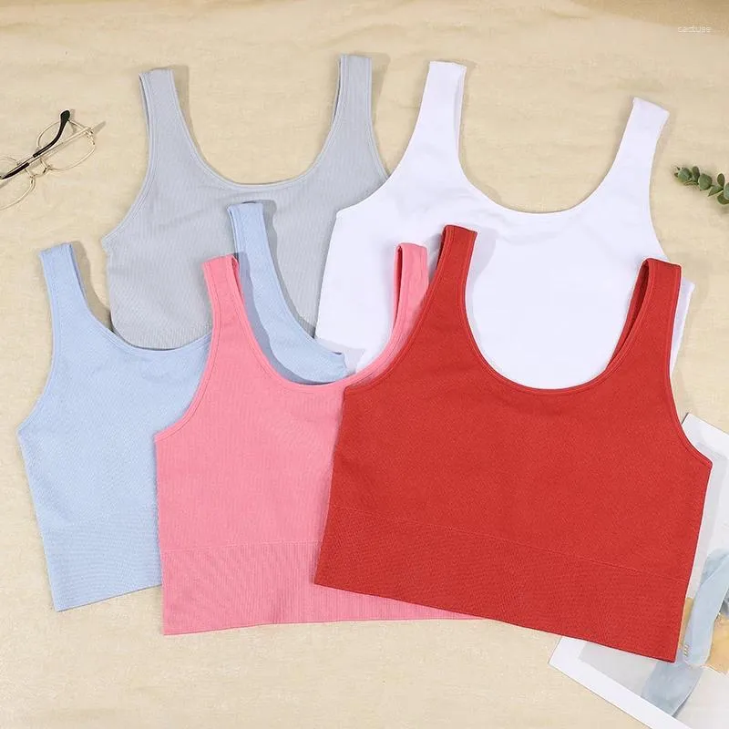 Camisas ativas tops perfeitos para mulheres colheita de tanques de bras de dupla camise