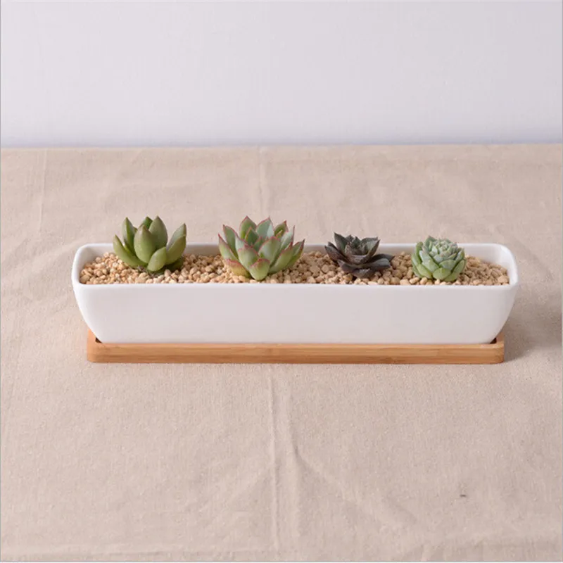 Plantador de suculentas de cerámica blanca simple moderna Plantadores con bambootray de macetas de plantas verdes decoración de escritorio de escritorio