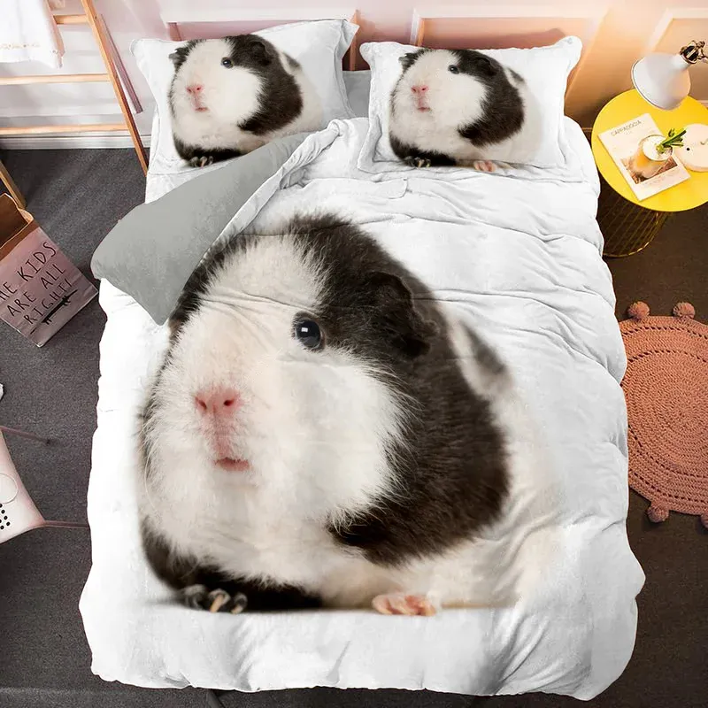 Sleeping Do Guinea Pigs Need To Be Covered At Night Guinea Pig