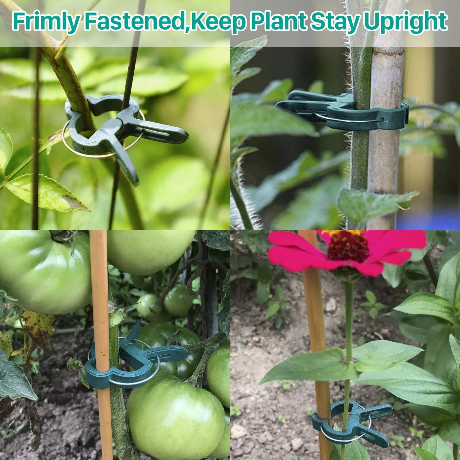 Clip di supporto delle piante riutilizzabili giardinaggio di morsetti floreali piante del giardinaggio che sostengono viti da arrampicata Stalks Bernice Greenhouse