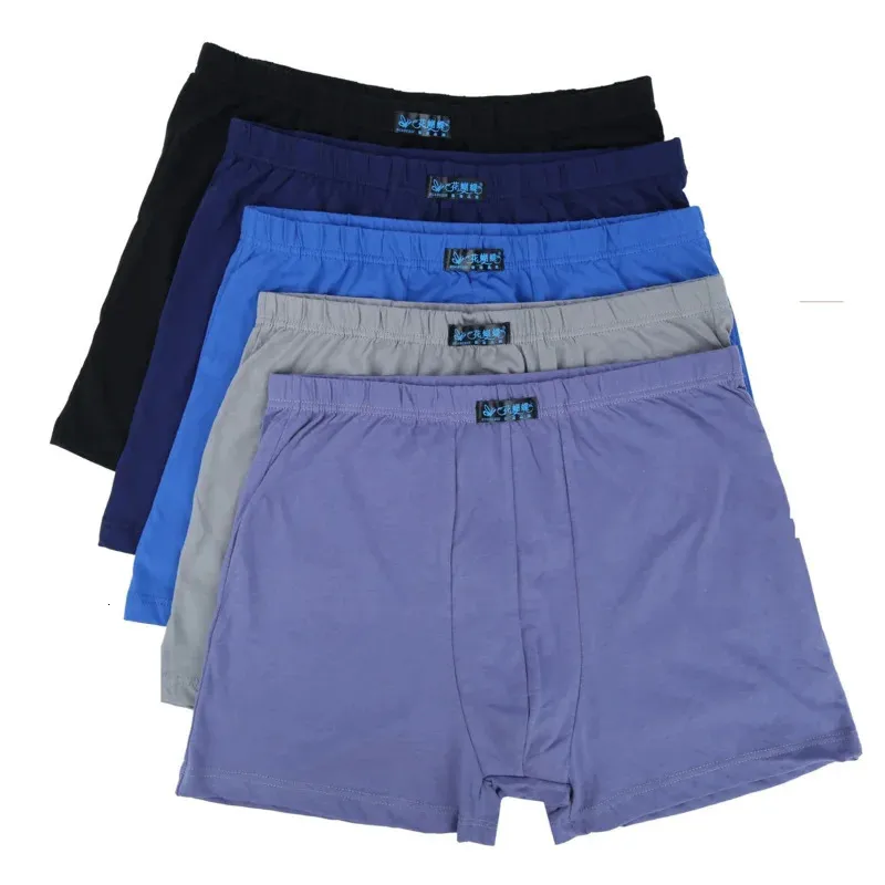 100% Baumwoll 4PCS Herren Boxer Pantie Lot unter -polpant Lose Lose Lose Short Cotton Plus Size