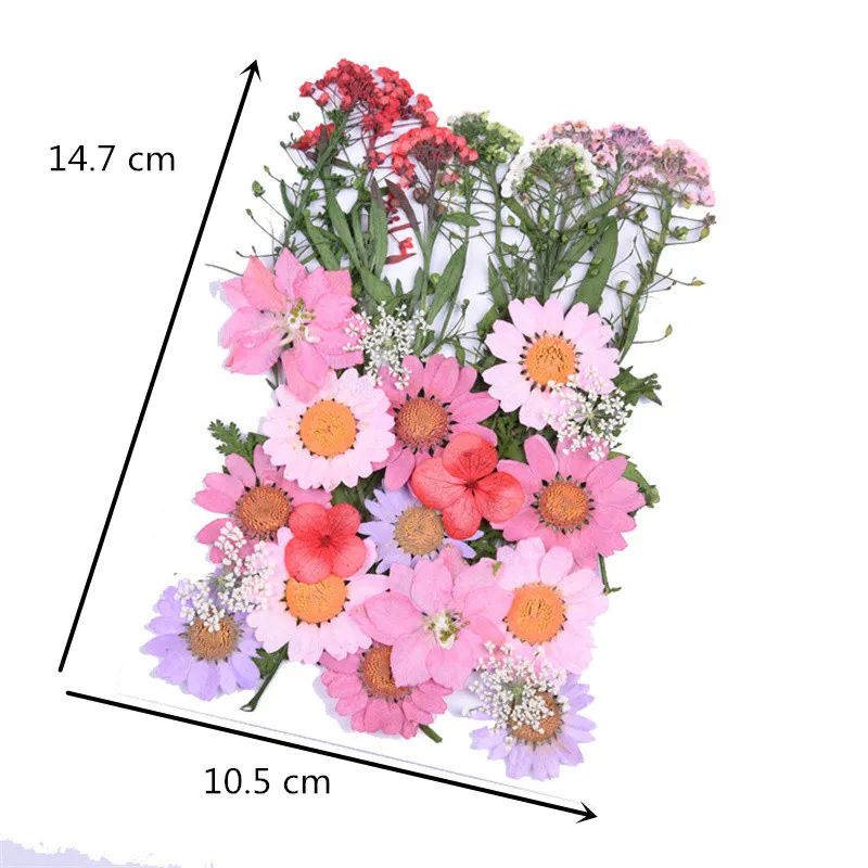 1 حقيبة حقيقية gedroogde bloemen UV hars vullen sieraden natuurlijke bloem ملصقات diy beauty voor thuis decoratieve 3d geperst gedroogde bloem