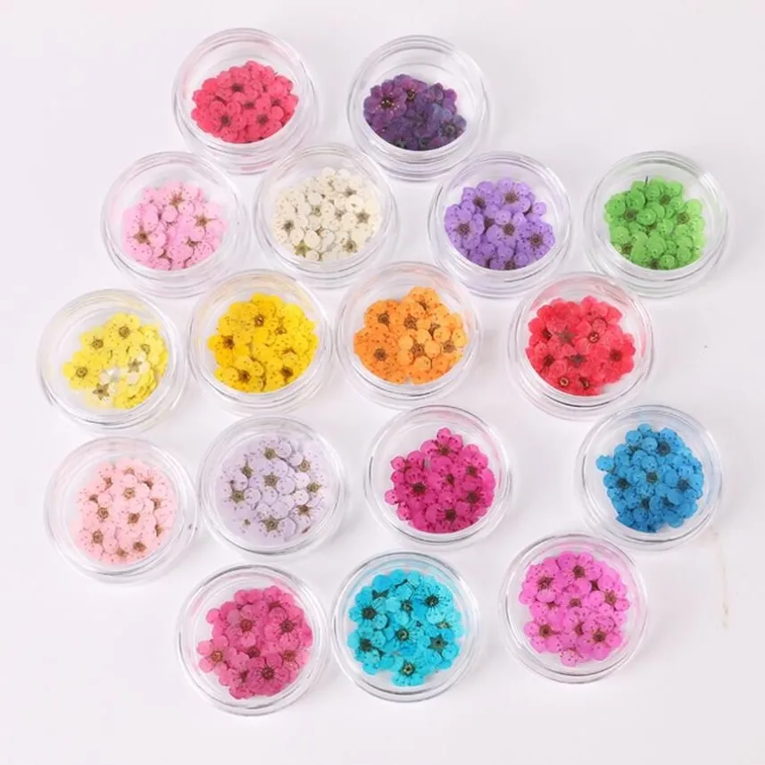 100pcs Pressed Dried Narcissus Plum Blossom Flower With Box For Epoxy Resin Jewelry Making Nail Art Craft DIY Accessories271B