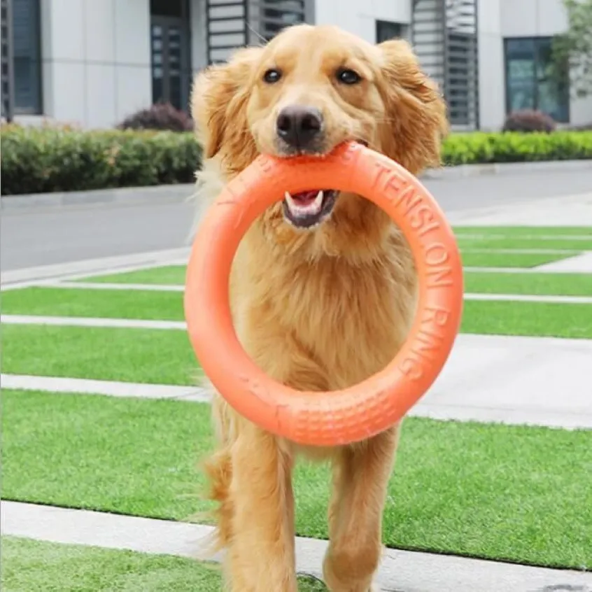 犬の飛ぶリングトレーニング子犬のおもちゃエヴァペットチュー噛むおもちゃインタラクティブモーションツール10pcs309g