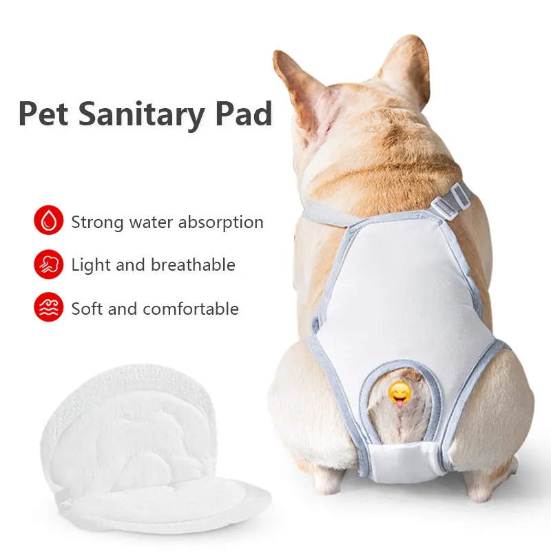 Pet Sanitary Pad Super absorvente feminino cão menstrual almofada feminina cão feminina fisiológica de calça de paveira à prova de vazamentos fraldas fraldas de animais de estimação descartáveis