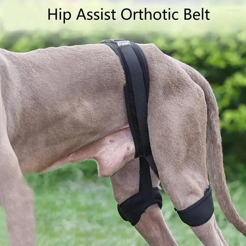 Dog Apparel Hip Joint Auxiliary Correction Belt For Animal Injury And Wound Braces Legs Protector Supporter Pet Supplies