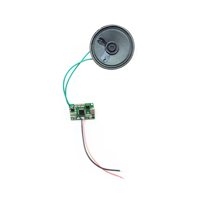 الملحقات Autoplay MP3 Player Module Module Module Music Player مع ميزة التشغيل التلقائي