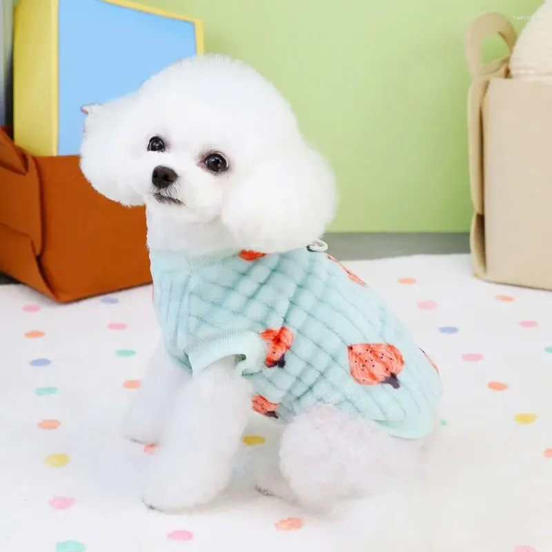 Abbigliamento per cani Adorabile Pet Pullover Pullover Strawberry Pattern Felpa di gatto alla moda Coat caldo per piccoli cani medizza