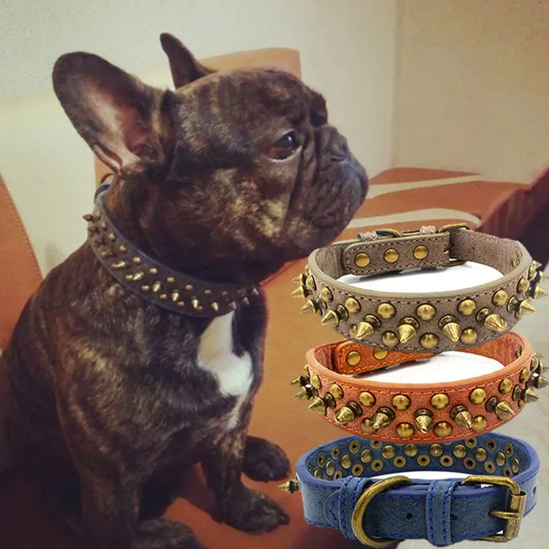 Golden Rivet Leather Dog Collar French Bulldog Pitbull Small