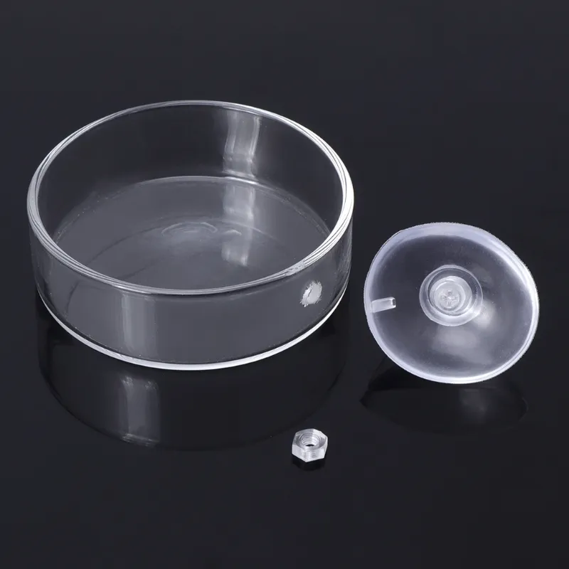 Fish Tank Feeder New Arrival Aquarium Shrimp Glass Feeding Bowl Clear Dish Tray