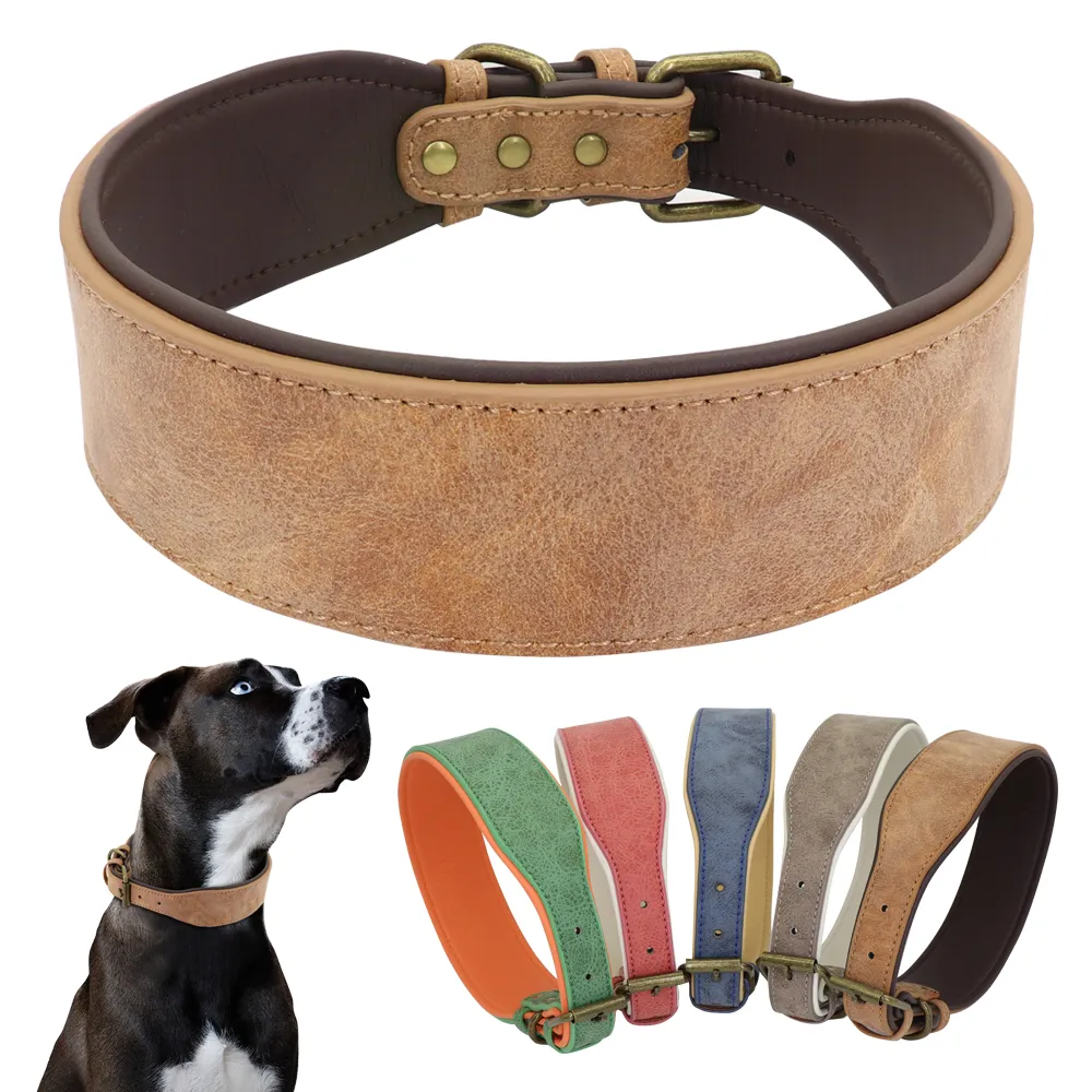Verstellbares Hundehalsband Aus Leder & Neopren – Personalisierbar, Für Kleine Bis Große Hunde (Größe M)