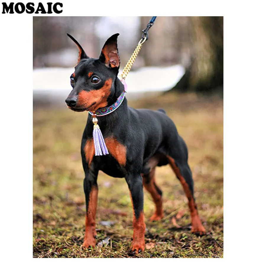 Miniature Pinscher 5d DIY Diamond Brodemery Vente de la peinture en diamant entièrement carrée