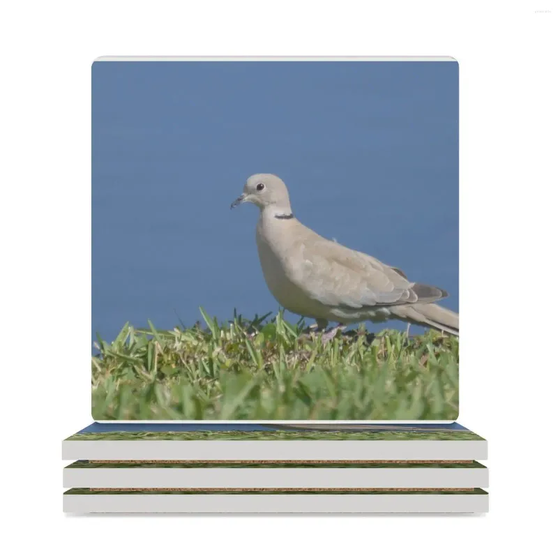 Table Mats A Barbary (Ringneck) Stands Next To Shoreline Ceramic Coasters (Square) Christmas Tea