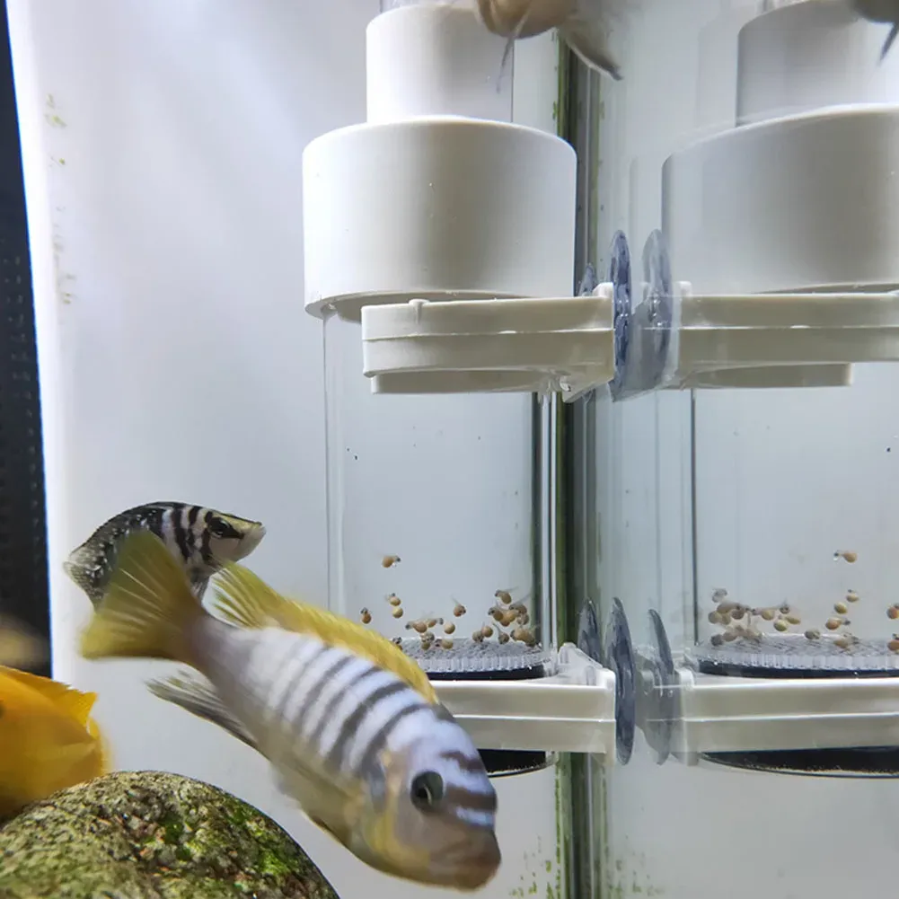 40mm Incubator Fish Hatchery Cichlids Hatchery Eggs