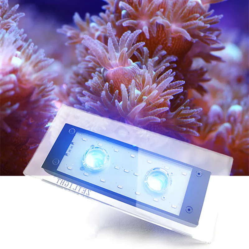 ZETLIGHT Full Spectrum WIFI LED Seawater Coral fish with