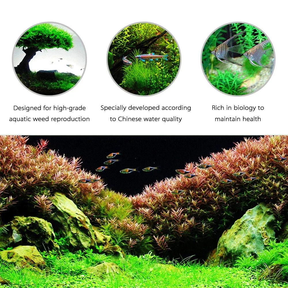 Seachem Flourish Copper Seachem Flourish Nitrogen 500ml - Aquarium Plant  Fertilizer For Freshwater Tanks 500ml Nitrogen Boost For Planted Tanks, image size:1000x1000