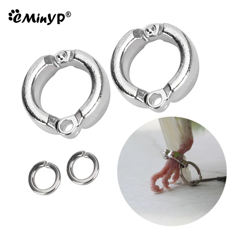 Perrot Foot Rings Metal Pet Bird Houges de jambe de la mouche extérieure Activité d'entraînement à la mouche Anti-perte Accessoires de laisse à clip de 0,45 à 1,15 cm