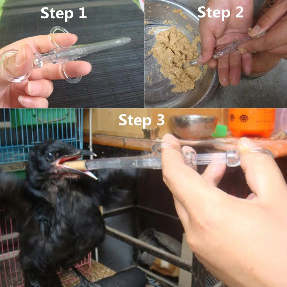 若い鳥の巣むきひよこ栄養装置オウム鳩飼育摂食シリンジ水薬