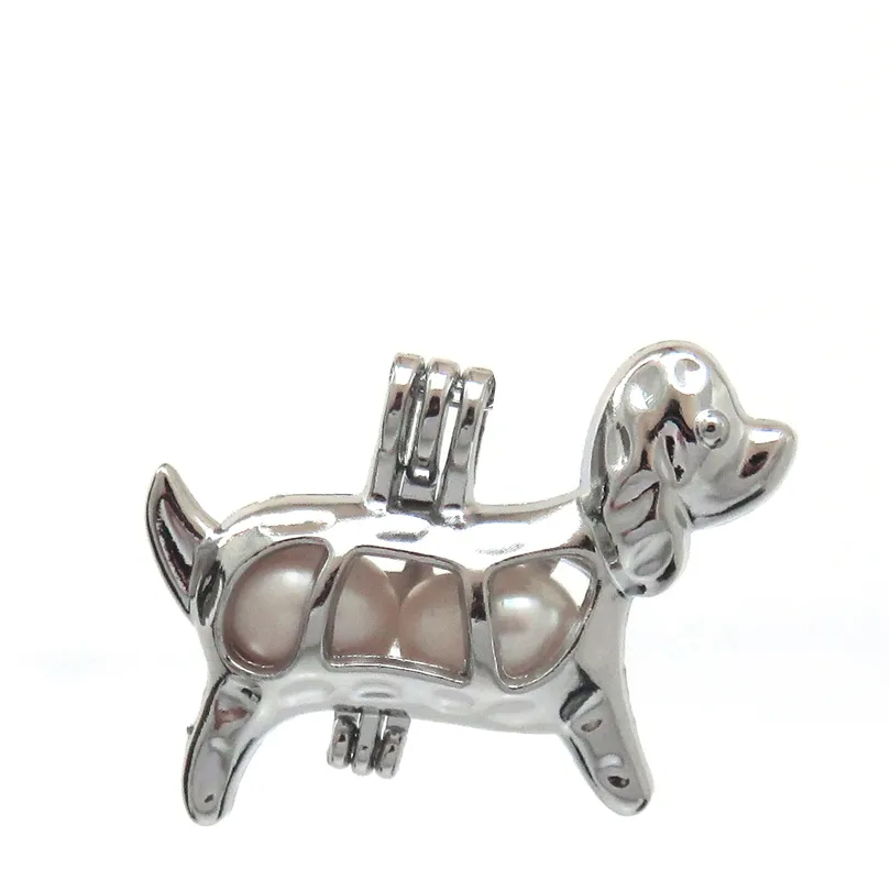 10 pezzi Classic Dog Babbund Charm Cange Cage Locket Aromatherapy Diffuser Collana a pendente Bracciale gioielli regalo Bulk
