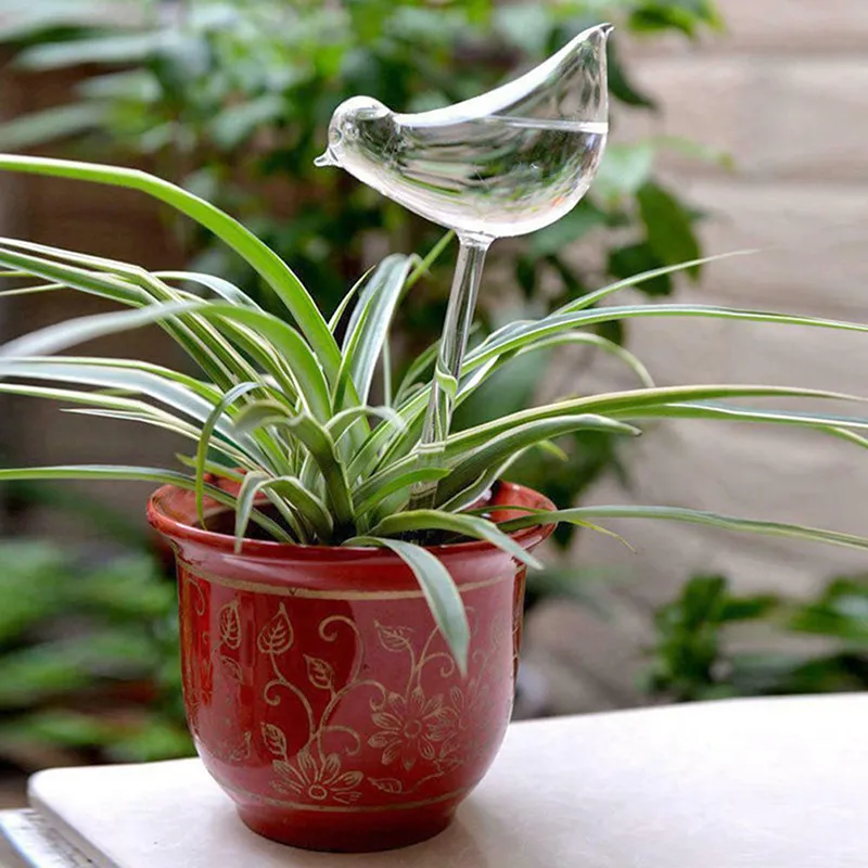 Guide to Plant Watering Globes: What to Consider