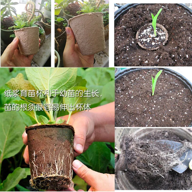 Pianta di carta ecofrondata Grow Flowers Pot Nursery Cup Kit Organic Biodegrable Home Garden Tools