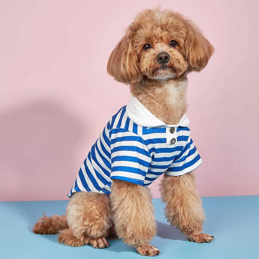 Fashion Cat Dog Shirt Summer Pet Vêtements Chihuahua Apparel Yorkshire Shih tzu Maltais Poodle Vest en gros chiot de chien Hkd230812