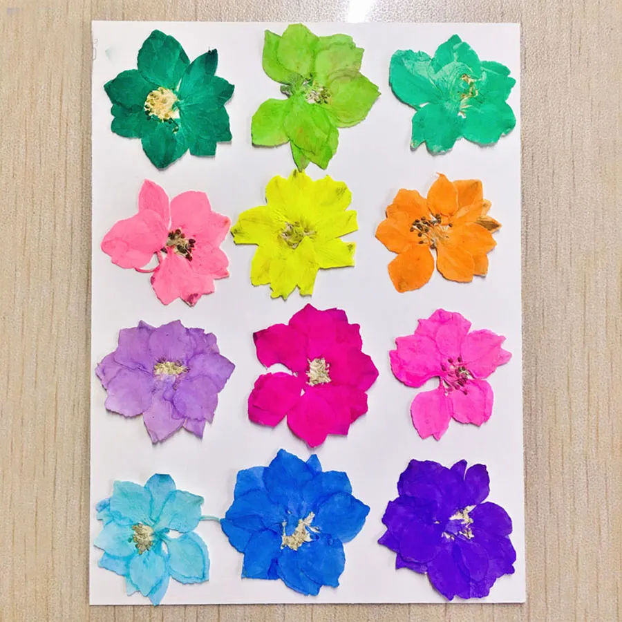 36 % Gedrukt gedroogde geverfde kleurrijke consolida ajacis bloemplanten herbarium voor sieraden telefoonhoesje ansichtkaart bladkaart bookmark ambachtelijke diy
