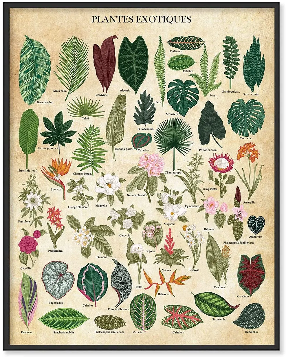 Botanical Wall Art Plant Wall Art vintage Prints de plante à imprimé botanique, Affiche de la nature - Affiche de fleur Art Metal Sign