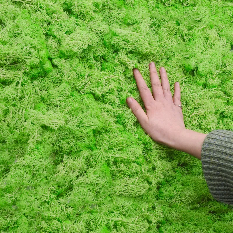 20 g/40 g di muschio erba artificiale pianta eterna vita eterna mura prato mura