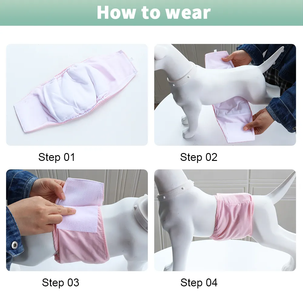 Wholesale Soft And Washable Physiological Dog Diapers Female Diaper Shorts For Small Medium And Large Dog Diapers Females Ideal For Girls And Women From Dh805830 14.07 DHgate.Com