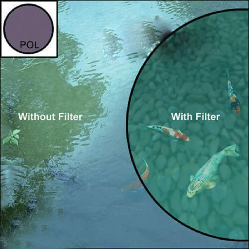 HOYA PRO1 Digital 77mm Circular Polarizing Filter Multicoat for