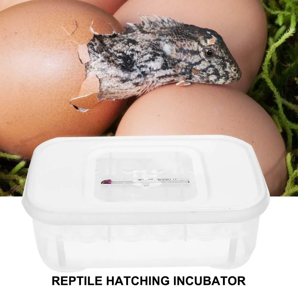 12 rutnät Reptiler ägg avelar Hatcher Case Safety Lizard Snake Egg Inkubator Tray Box Hushållsdjur Hatching Tillbehör