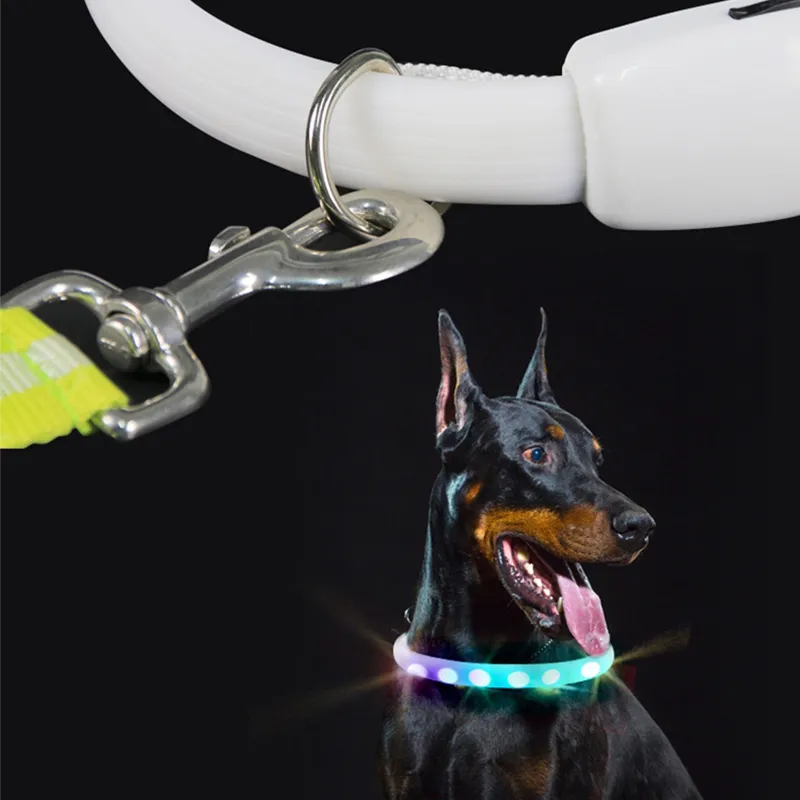 D fivela de fivela USB colar de cachorro recarregável LED LEITO NOITE NOITE COLAR
