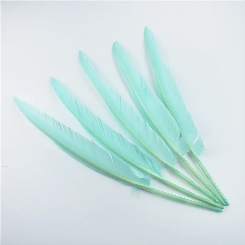 10pcs/lot tacchino piume Duck puntatore wing piuma per mestieri 25-30 cm 10-12 "Plumi bianchi Accessori per feste decorazione