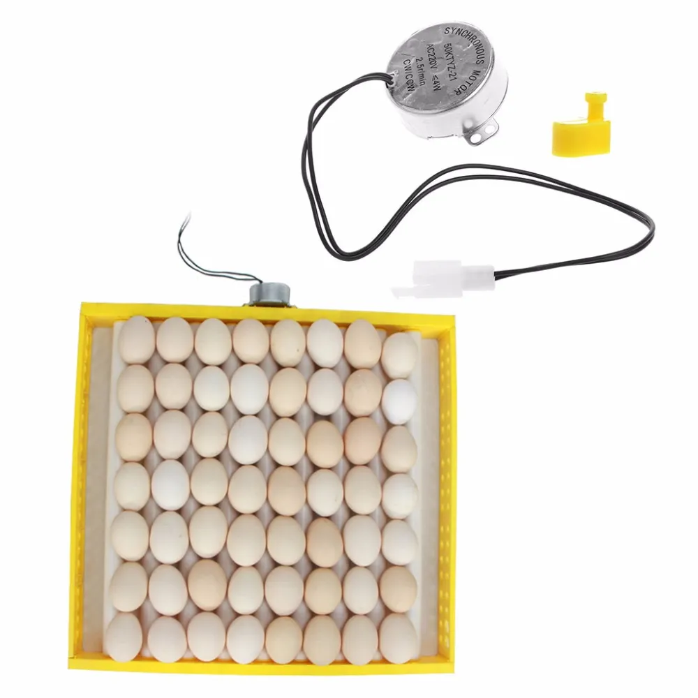 220 V AC Eggs di gallina Turner Componenti motori per Accessori per animali da fattoria incubatrice incubatrice