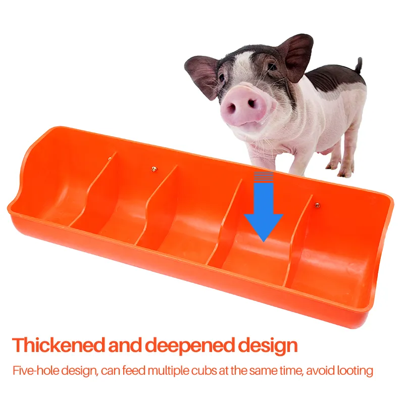 Automatic 5 Holes Piglet Sow Feeding Through for Piglet,sow, Pig Etc Livestock Farm Pig Feeder Farming Durable Equipment