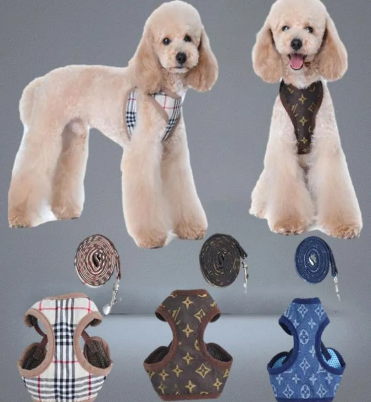 Arnês de cães de grife e treliças conjuntos de padrões clássicos colares colares de coleira de malha respirável para cães pequenos Poodle schnau4548941