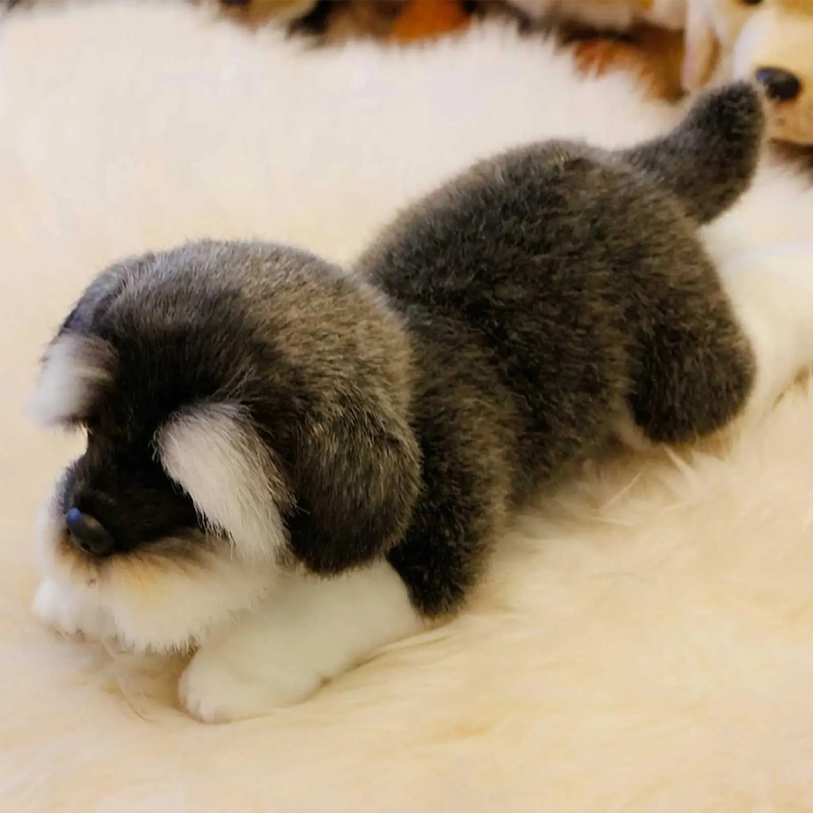 Poux en peluche bébé schnauzer chien en peluche en peluche jouet mignon chien en peluche