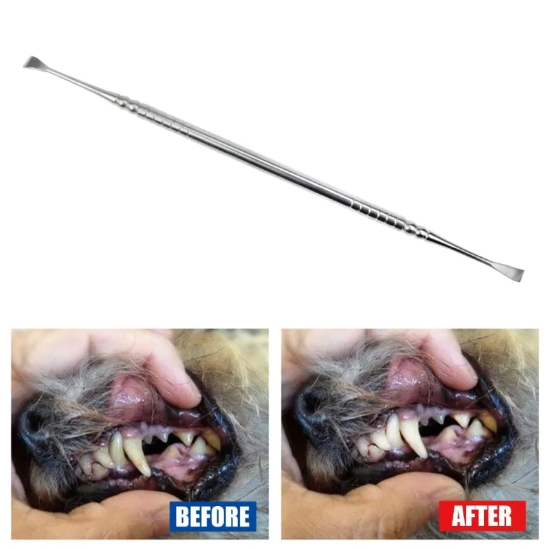 Chien dents de dents d'échelle hygiène - Nettoyage des dents Vétérinaire - spatule à double tête à double tête de tartre / grattoir à double tête
