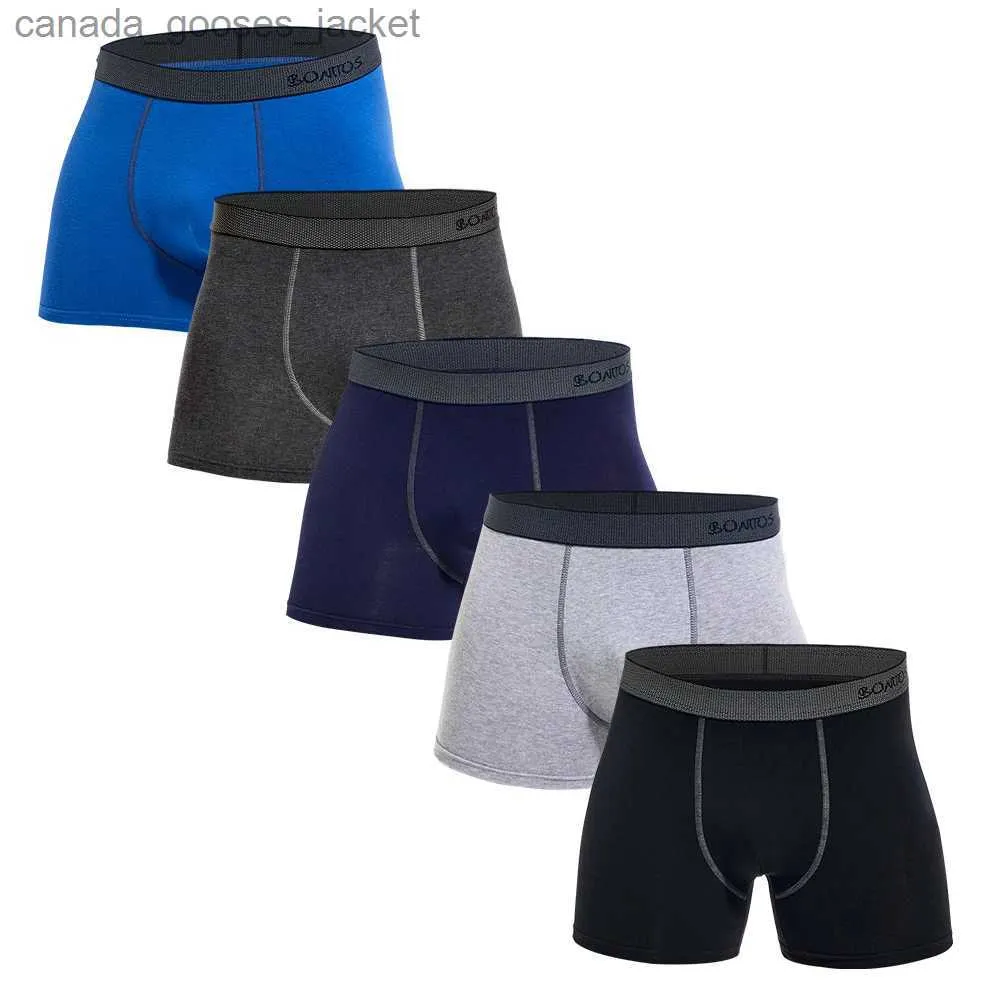 Underpants 5-piece set 2023 mens underwear cotton underwear brand boxer and underwear mens set sexy shorts gift slider sales C240411