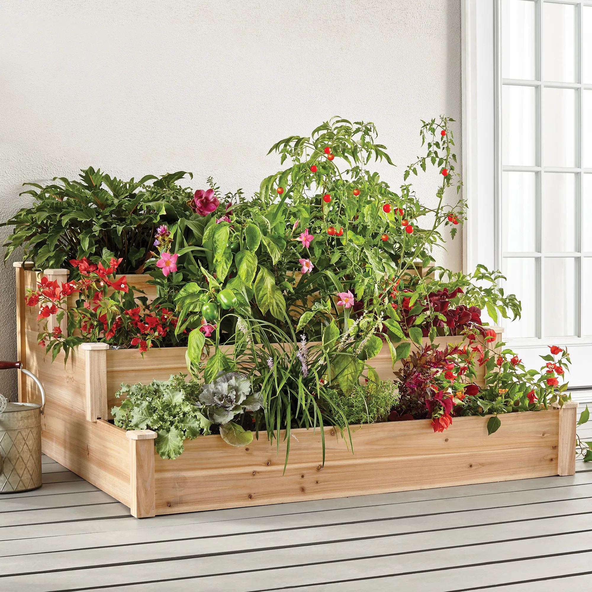 anthurium andraeanum fertilizer Anthurium Million (Anthurium andraeanum) Flowering/Ornamental Live Pla   Hug A Plant