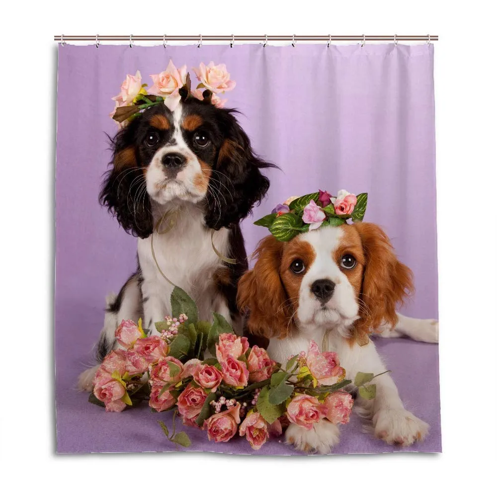 Cavalier King Charles Spaniel Dogs Curta