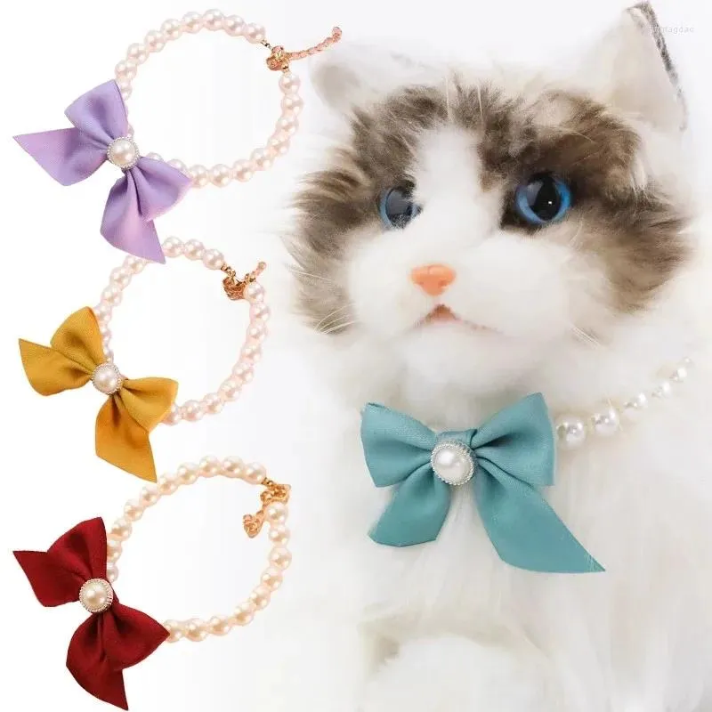 Collari per cani simpatici gatto gatto gattino regolabile gattino e collana cucciolo di cucciolo perle abito da festa elegante per gatti per cani di piccola taglia