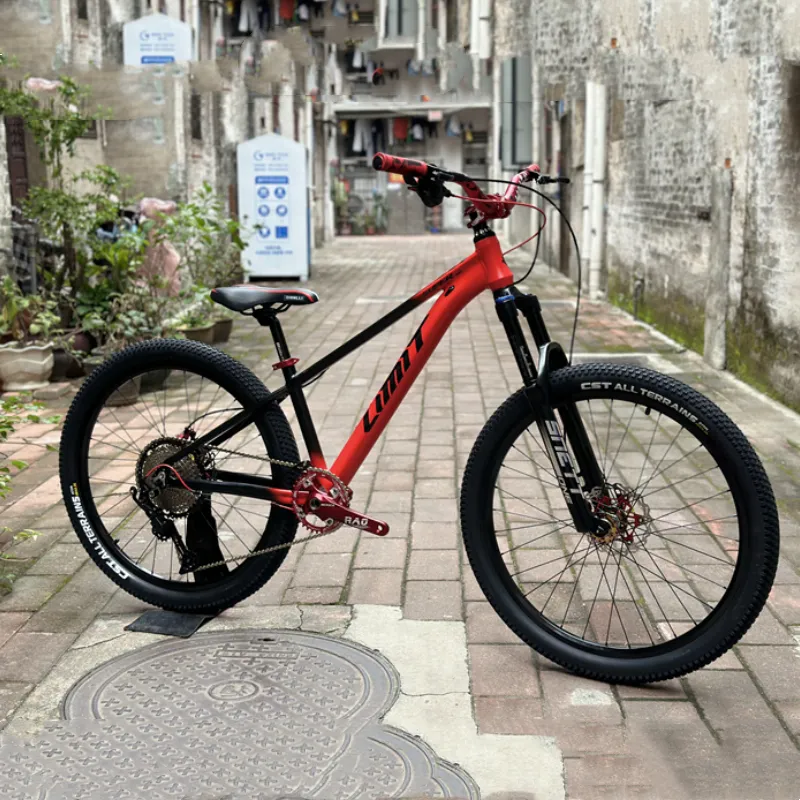 Mens mountain bike with disc brakes hotsell