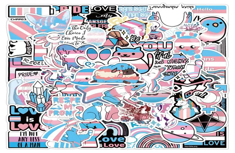 60 stcs Transgender Pride Stickers Graffiti Kids Toy Skateboard Car Motorcycle Bicycle Sticker Decals Whole2499520