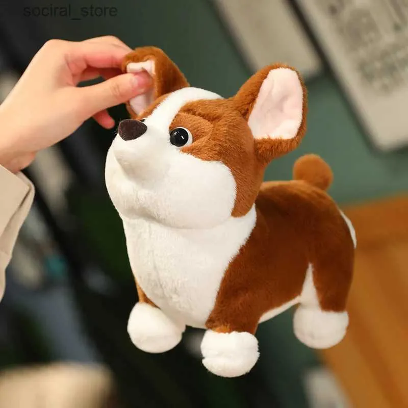 Animaux en peluche en peluche Nice Adorbale en peluche corgi chien jouet en peluche en peluche de dessin de dessin de dessins de dessin animé kawaii