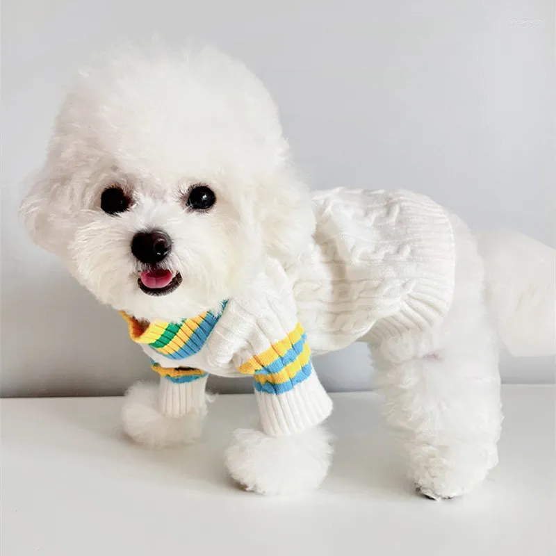 Vêtements pour chiens Pull d'hiver Puppy Yorkie Pomeranian Shih tzu Poodle Poodle Bichon Schnauzer Small Clothe