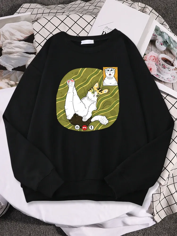 Dresses The Cat In The Video Shows Its Butt Women Hoody Daily Full Sleeve Sweatshirt Loose Comfortable Pullover Soft Crewneck Sportswear