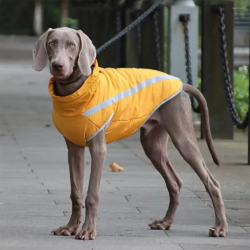 Hundebekleidung Winter warme Kleidung wasserdichtes Outfit Weste winddichte Haustiere Jacke Mantel für kleine mittelgroßen großen Perros gepolstert