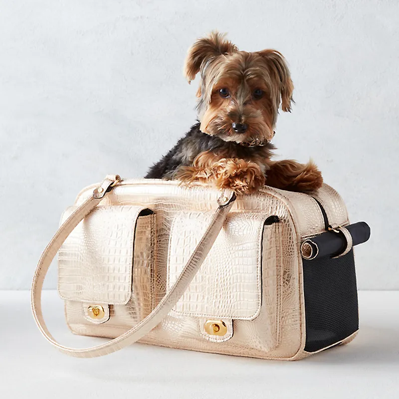 Leather pet carrier sale